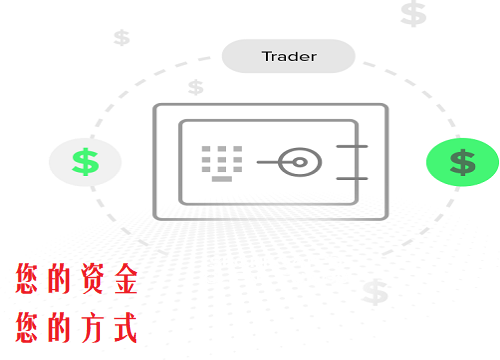 IC Markets多种出入金方式